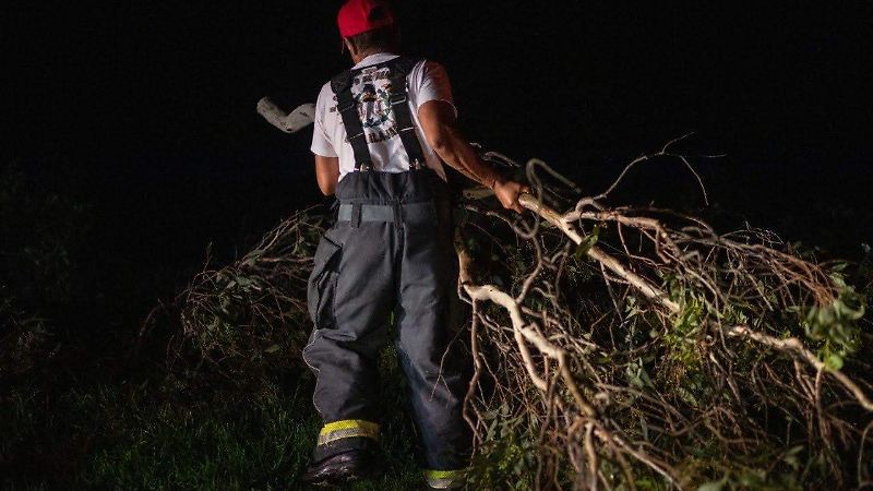 Bomberos GDL árboles caídos (9).jpeg